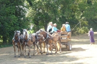 Amish in Intercourse PA Amish in Intercourse PA